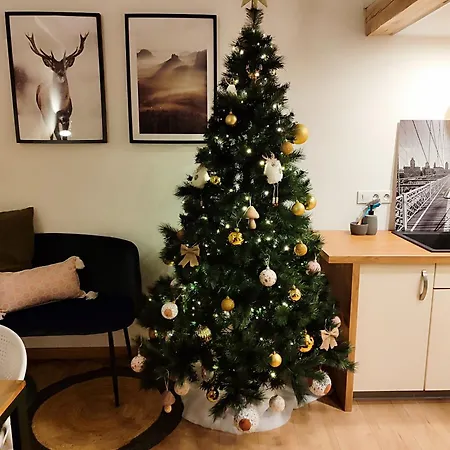 Le Chaleureux Loft 1 Minute Du Tram Apartamento *